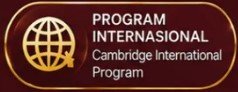 program international